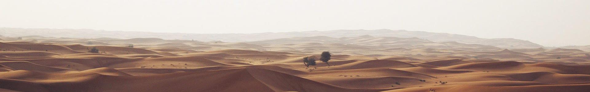 չƼ޹˾